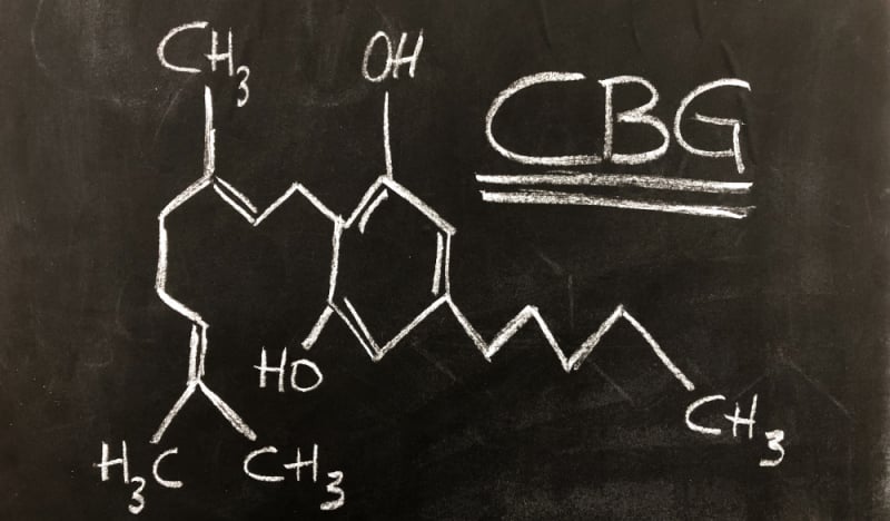 Qu'est ce que le CBG ? (cannabigérol)