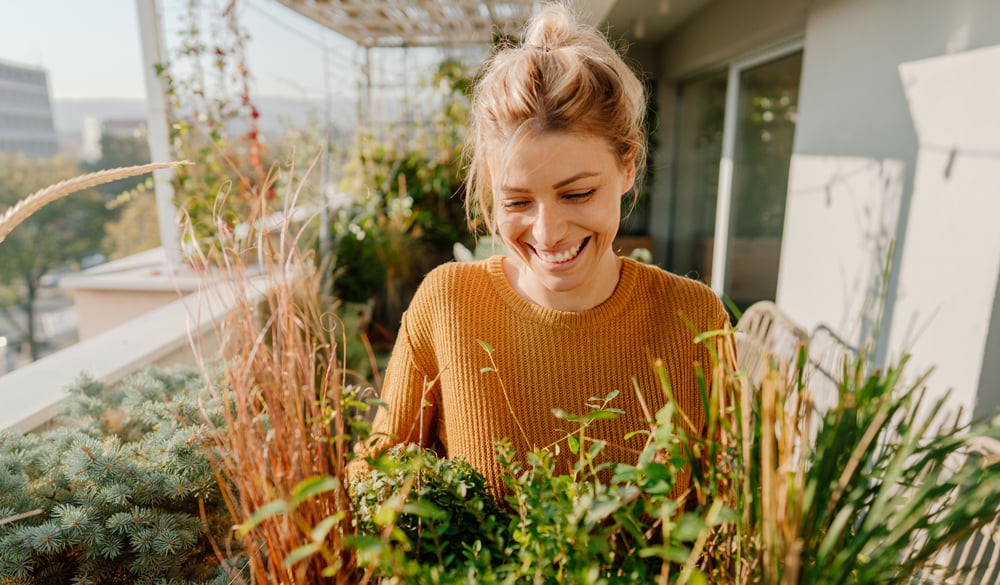 Il CBD può alleviare i sintomi delle allergie?