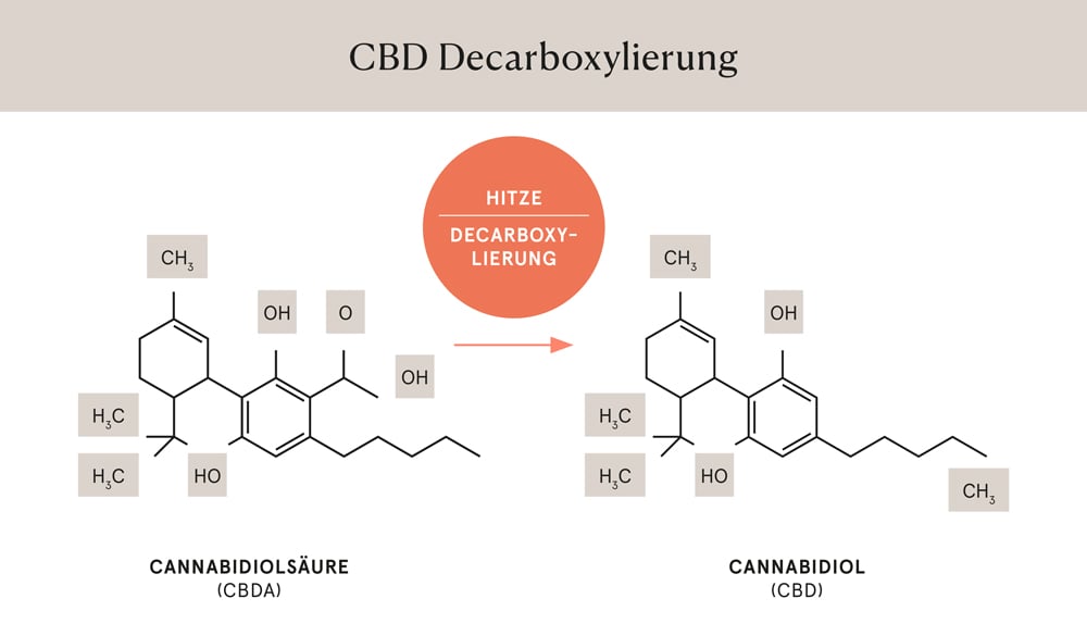 Grafik: Decarboxylierung - Umwandlung von CBDA in CBD