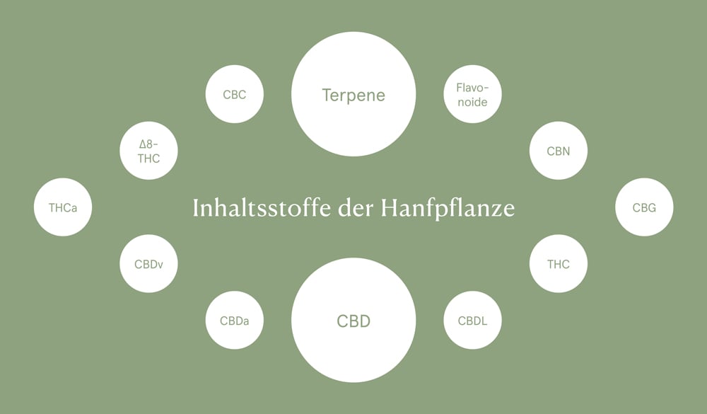 Inhaltsstoffe der Hanfpflanze