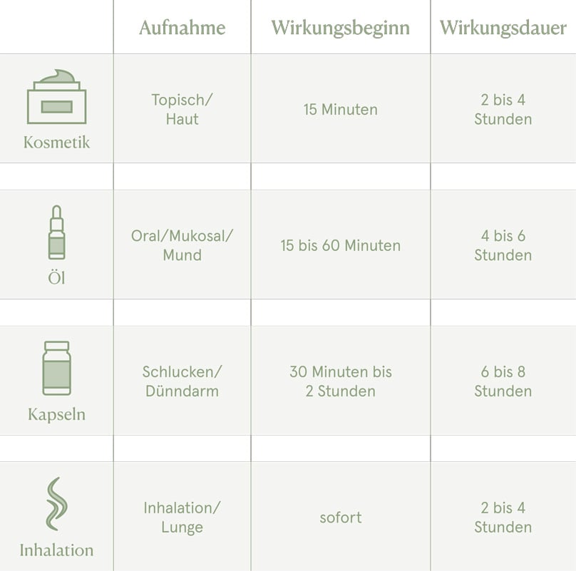 Wie lange und wie schnell wirkt CBD