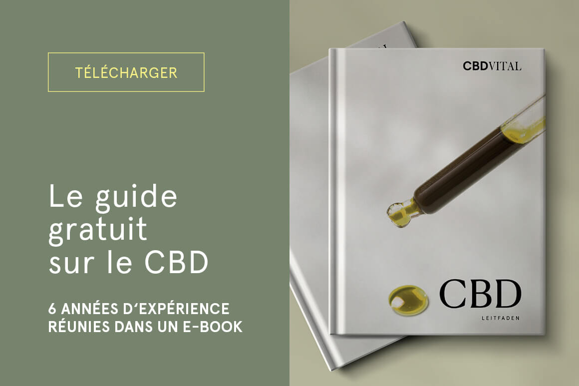 E-book Guide gratuit sur le CBD