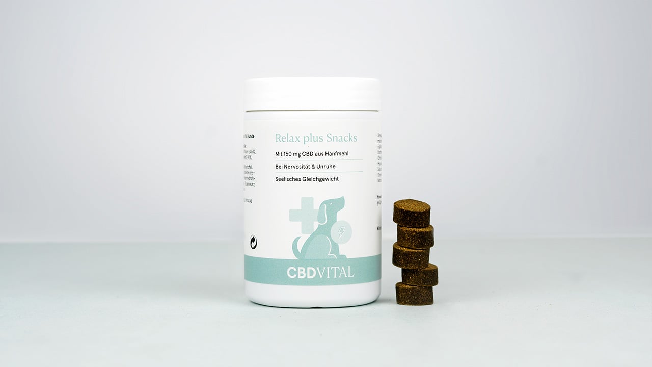 CBD Hunde-Snacks für gestresste Hunde